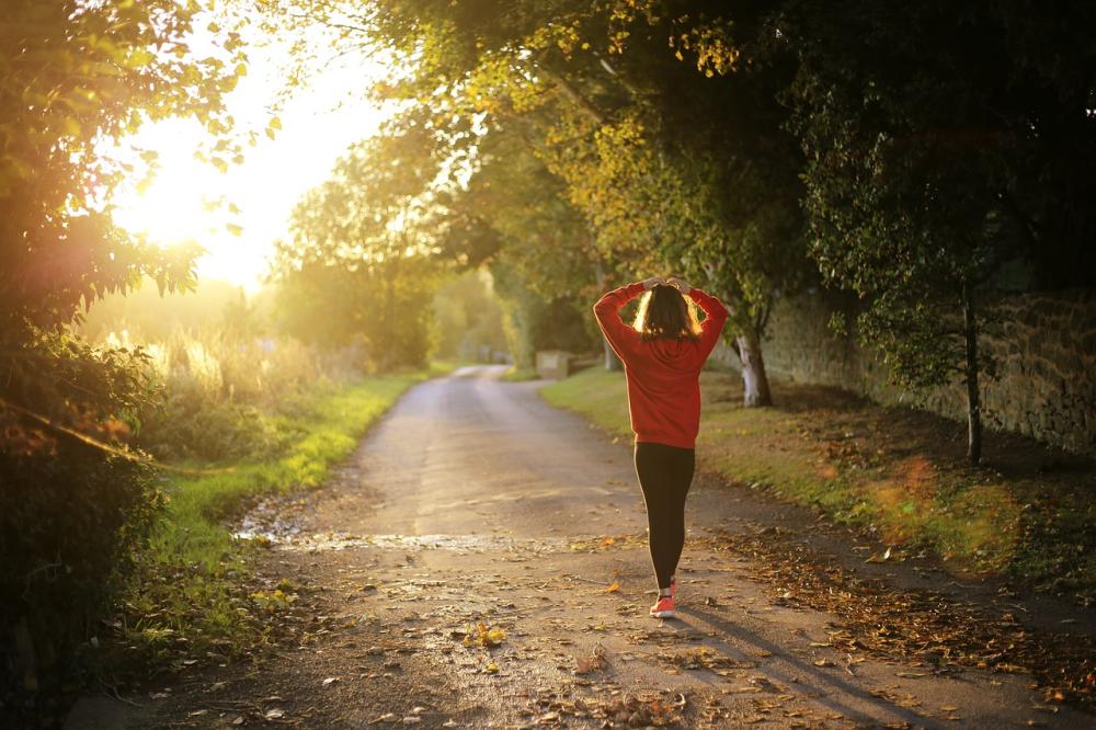 Person walking towards sun in wooded area
