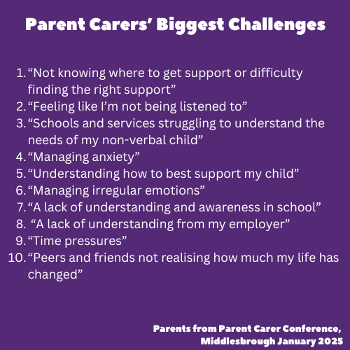 parent carers biggest challenges