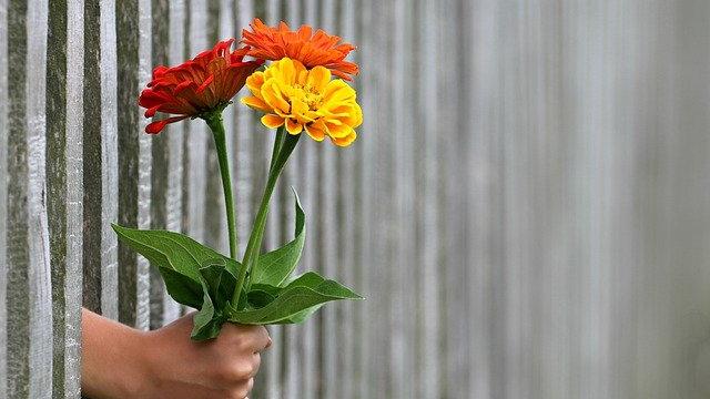 Hand passing flowers through fence