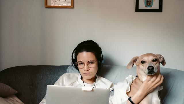Female sat on sofa with dog wearing headphones and on laptop computer