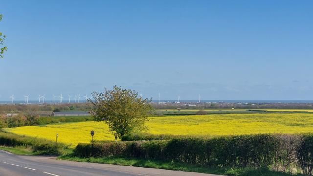 Fields in Redcar & Cleveland