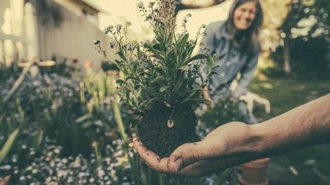 Hand holding a plant wit lady smiling in faded background