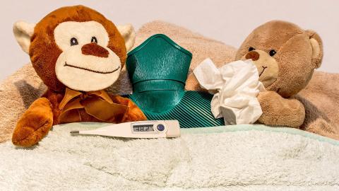 teddies in bed with hot water bottle, tissue and thermometer depicting high temperature 
